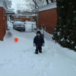 Meet your Posher, Alex